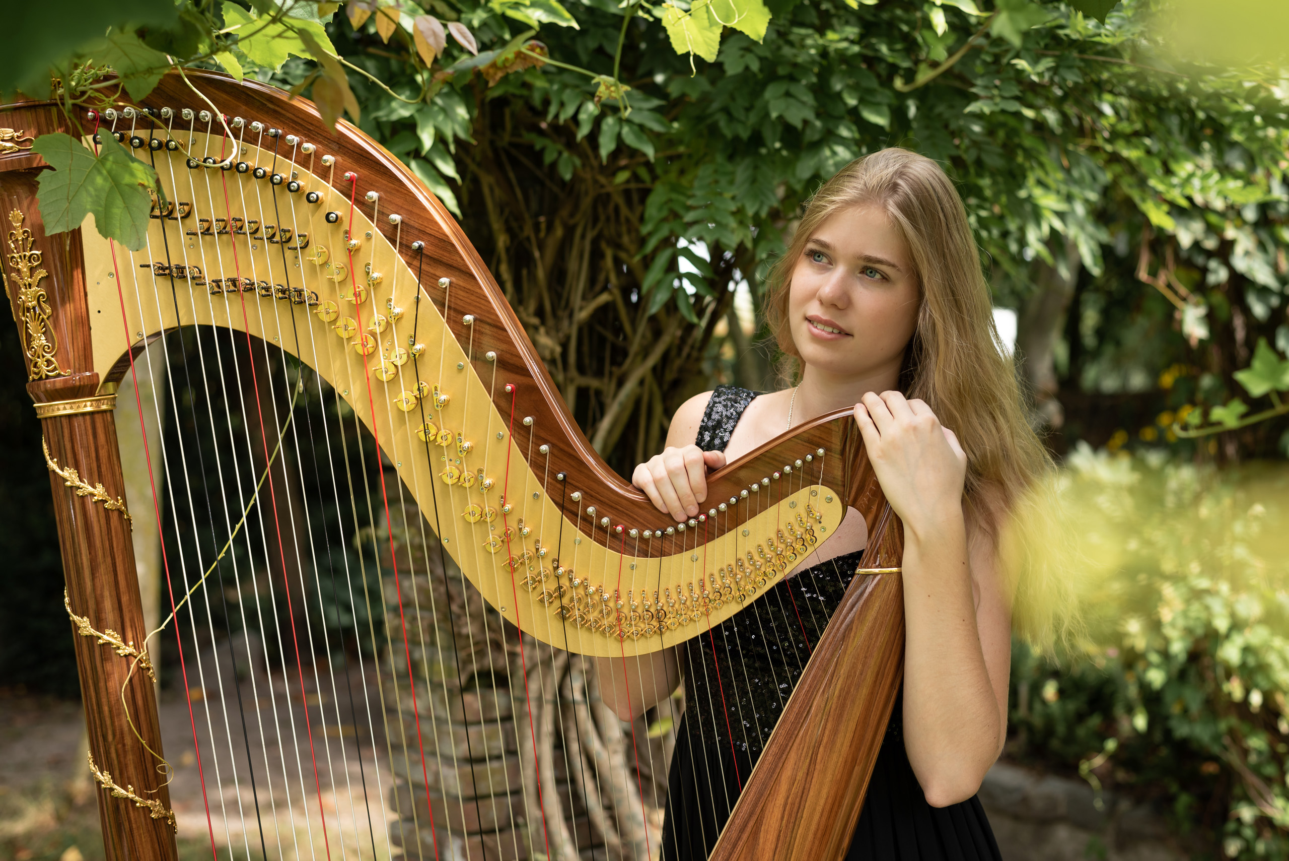 Michelle Sweegers: docent Harp